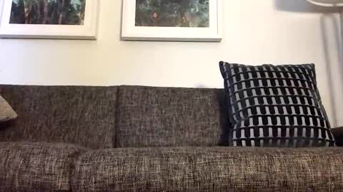 Tbiz82 online show from March 21, 4:17 am