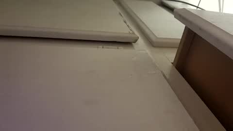 Luis online show from October 6, 10:02 am