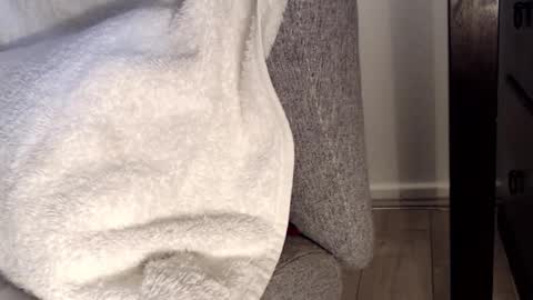 Tedging2 online show from January 28, 1:05 pm