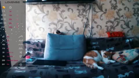 Snapshot of tender__ada chatting on December 19, 9:38 am Ada online show from December 19, 9:38 am