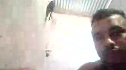 Snapshot of tenebroso808356 chatting on July 16, 12:33 pm tenebroso808356 online show from July 16, 12:33 pm