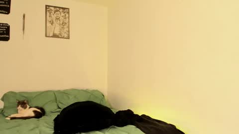 Teo online show from September 13, 2:50 pm