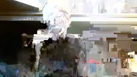 Snapshot of terdy2366 chatting on October 7, 3:25 am terdy2366 online show from October 7, 3:25 am