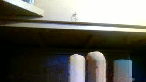 Snapshot of terdy2366 chatting on October 15, 8:03 am terdy2366 online show from October 15, 8:03 am