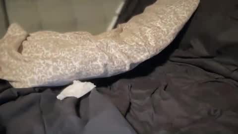 Snapshot of test502435 chatting on February 15, 3:14 am test502435 online show from February 15, 3:14 am