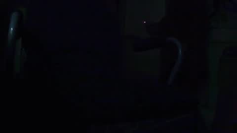 tetuo2 online show from September 28, 9:36 am