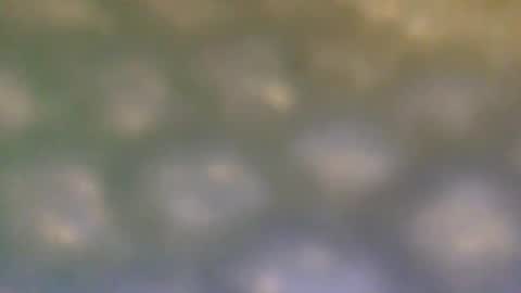 that_thing20 online show from March 5, 7:06 pm