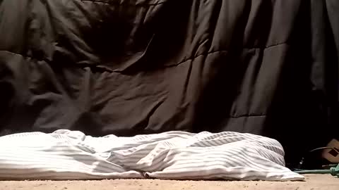 thatb1 online show from September 28, 5:13 am