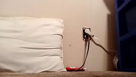 thatb1 online show from December 16, 4:50 am