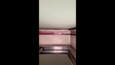 Snapshot of thatsiner chatting on January 11, 12:55 am JustRubinIt online show from January 11, 12:55 am