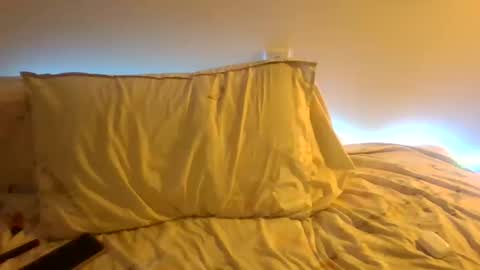 Snapshot of the_borderlands chatting on December 19, 4:25 pm the crazy travellers online show from December 19, 4:25 pm