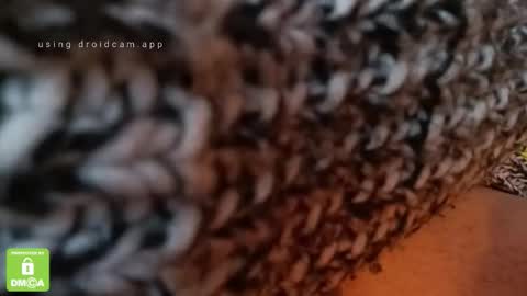 The Real Hanjob Couple online show from February 4, 11:49 am