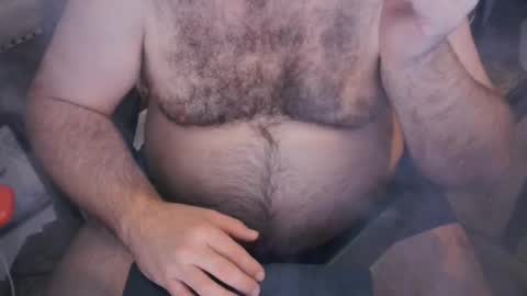 The Bear King online show from November 1, 3:19 am