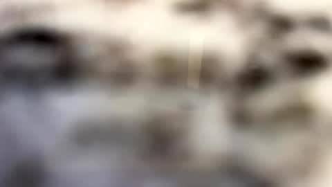 Snapshot of thebodythefeet chatting on January 4, 7:23 pm thebodythefeet online show from January 4, 7:23 pm