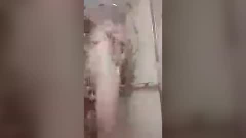 thedailyshower online show from July 6, 3:25 am