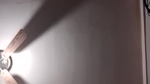 thedailyshower online show from August 4, 4:37 am
