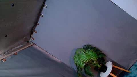 Lana But you can spell it backwards online show from December 13, 12:20 am