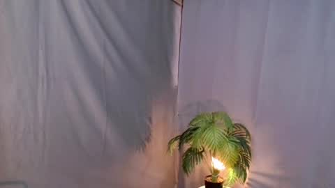 Lana But you can spell it backwards online show from December 17, 8:34 am