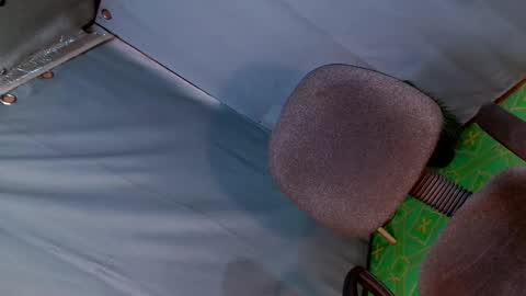 Lana But you can spell it backwards online show from January 2, 9:18 pm