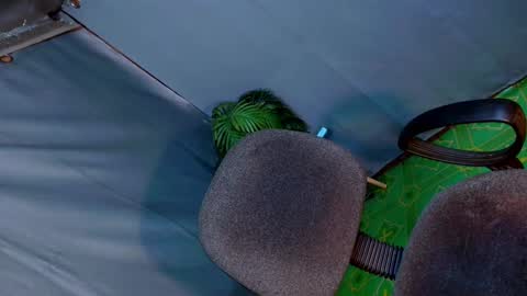 Lana But you can spell it backwards online show from February 23, 2:18 am