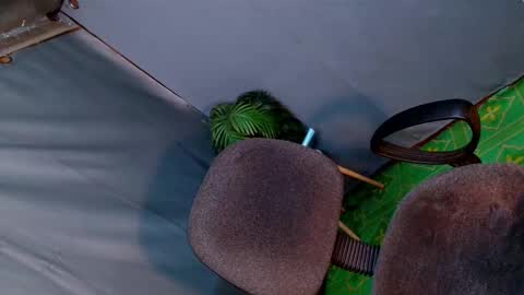 Lana But you can spell it backwards online show from February 25, 2:03 am