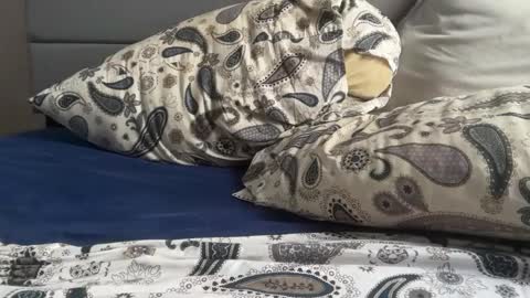 theeshooterr online show from December 5, 6:22 pm