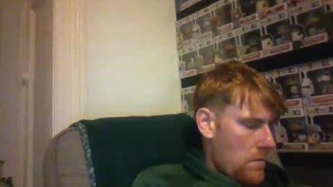 Snapshot of thegingerjim chatting on November 13, 1:48 am thegingerjim online show from November 13, 1:48 am