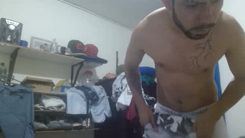 thehousedog online show from January 9, 12:08 pm