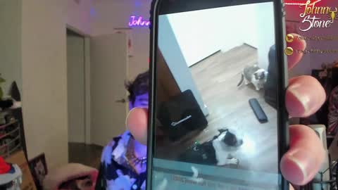 Johnny Stone online show from December 29, 1:13 am