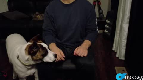 Snapshot of thekodyy chatting on October 21, 12:55 am thekodyy online show from October 21, 12:55 am