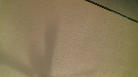 Snapshot of themormonman chatting on October 19, 3:51 am Daisy and Tim online show from October 19, 3:51 am