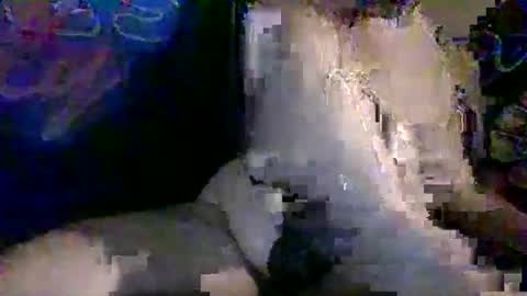 Benni420 online show from November 10, 6:40 pm