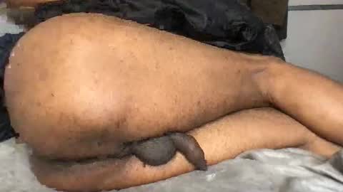 thetightestass14 online show from February 12, 9:15 am