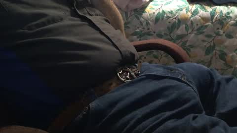 thetnguy online show from December 21, 12:42 am