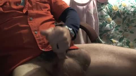 thetnguy online show from December 23, 6:27 pm