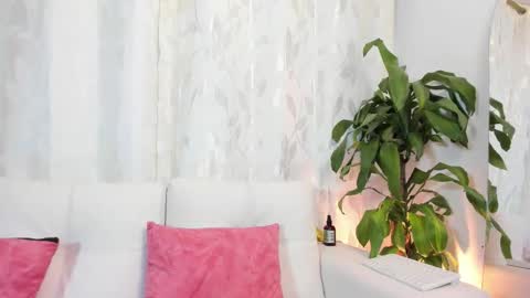 Thiago  online show from February 3, 11:10 pm