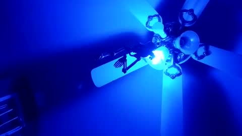 Thickamber online show from February 5, 12:21 pm