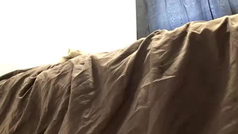 Snapshot of thickdickclit chatting on March 27, 6:40 pm thickdickclit online show from March 27, 6:40 pm