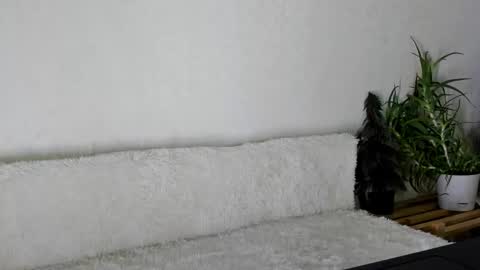 thief_of_hearts_ online show from November 26, 9:54 am