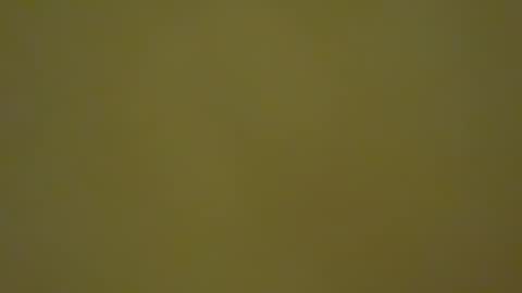 Snapshot of thomasborre chatting on October 15, 2:17 pm thomasborre online show from October 15, 2:17 pm