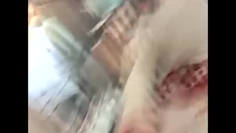 thunder8u42 online show from October 10, 12:37 pm