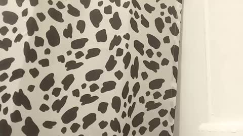 thuzi0n online show from October 25, 9:17 am