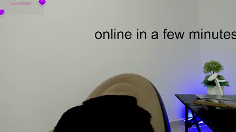 carolina online show from August 2, 10:03 am