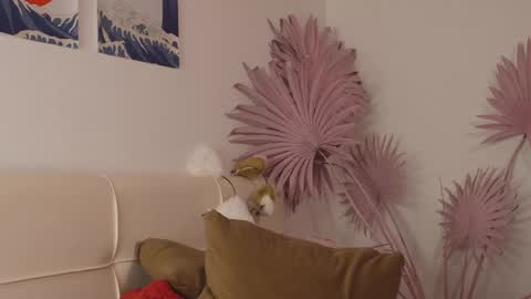 tiffanyjons online show from February 28, 12:21 am