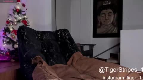 Snapshot of tigerstripes_ chatting on December 29, 3:22 am Chris online show from December 29, 3:22 am