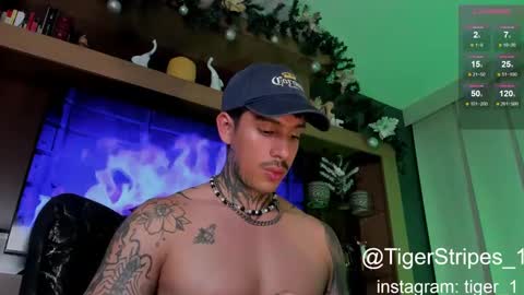 Snapshot of tigerstripes_ chatting on January 8, 2:25 am Chris online show from January 8, 2:25 am