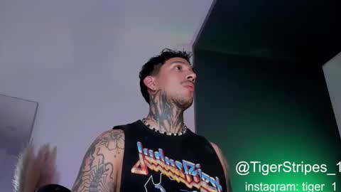 Snapshot of tigerstripes_ chatting on February 1, 2:47 am Chris online show from February 1, 2:47 am