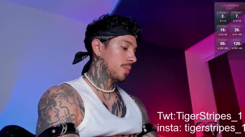 Snapshot of tigerstripes_ chatting on March 11, 10:42 pm Chris online show from March 11, 10:42 pm