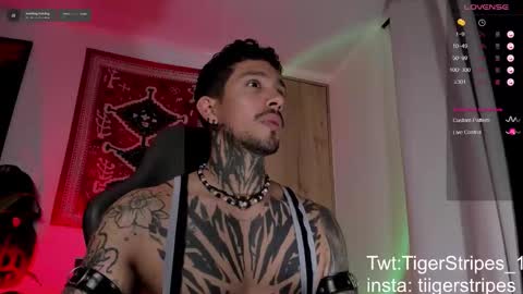 Snapshot of tigerstripes_ chatting on March 9, 4:27 am Chris online show from March 9, 4:27 am