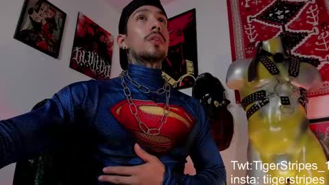 Snapshot of tigerstripes_ chatting on March 21, 4:50 am Chris online show from March 21, 4:50 am